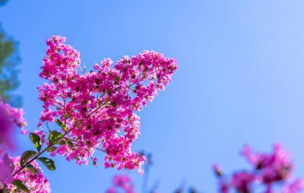 願いを、ささやかでも行動に移してみる　心と身体を喜ばせるように