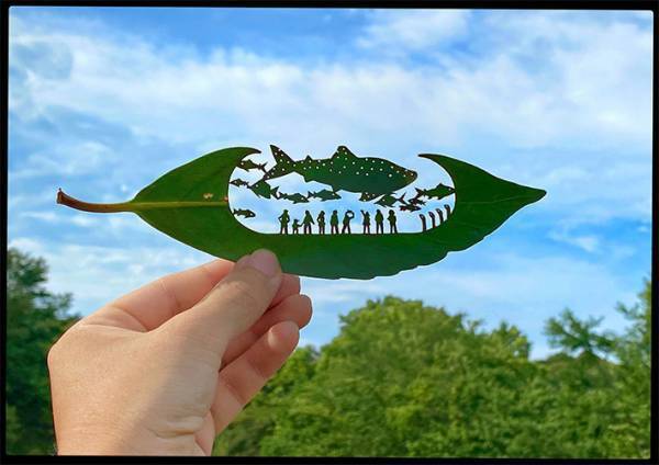 葉っぱで作られた『切り絵』がTwitterで話題　青空に作品をかざすと…　「なんて繊細」