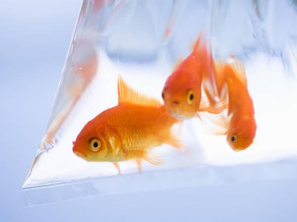 「衰弱している」と批判が相次ぎ…？　持ち帰りについて「勉強になった」の声