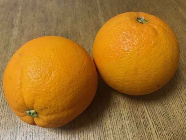 皮を剥くのが面倒というあなた！フルーツ屋が伝授するオレンジの切り方