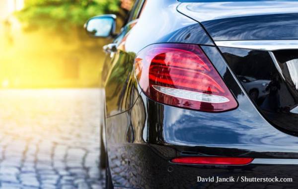 散歩中に倒れた祖母を助けるために　車を運転した１１歳の少年が称賛される