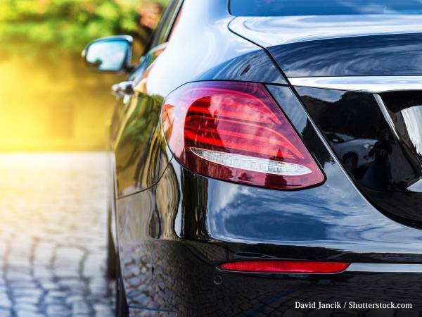 散歩中に倒れた祖母を助けるために　車を運転した１１歳の少年が称賛される