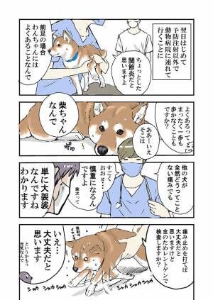 突然動けなくなった愛犬　心配して病院に連れて行くと？　「笑った」「なんということ」