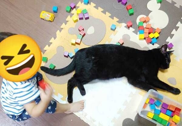 １歳児の目の前に寝ころんだ黒猫　少し経つと、こんなことに…！