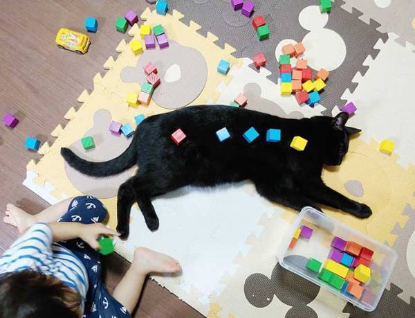 １歳児の目の前に寝ころんだ黒猫　少し経つと、こんなことに…！