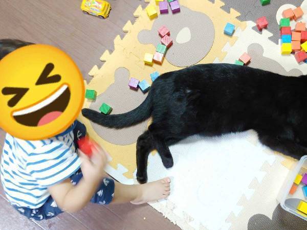 １歳児の目の前に寝ころんだ黒猫　少し経つと、こんなことに…！