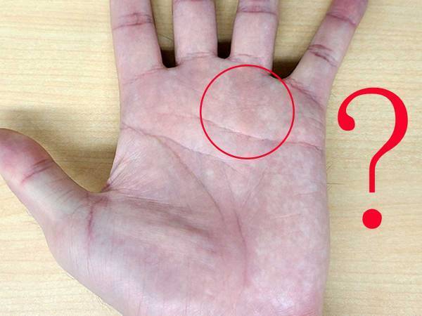 手相で金運を見る線は？　金運線がない人は金に対して…