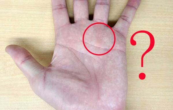 手相で金運を見る線は？　金運線がない人は金に対して…