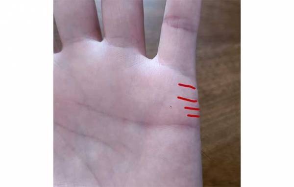 手相は右手と左手どちらを見たらいい？　島田秀平は多くの占い師と違って…