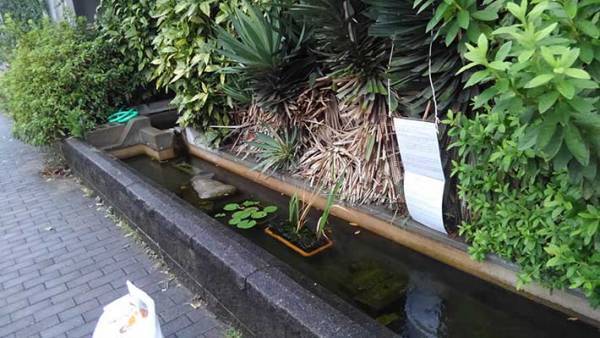 溜め池のそばに設置された貼り紙　『バス乗務員』の想いに「切ない」「悲しいなぁ…」