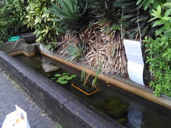 溜め池のそばに設置された貼り紙　『バス乗務員』の想いに「切ない」「悲しいなぁ…」