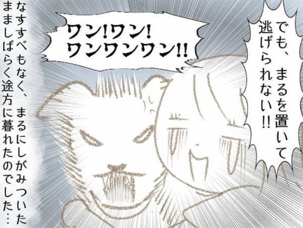 暗闇に向かって突然吠え出した愛犬　恐怖が最高潮に達した少女は…？