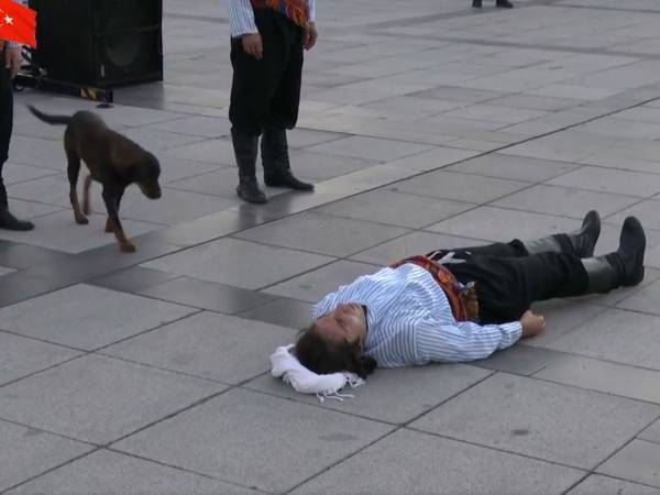 路上で倒れる演技をしていたら…？　野良犬がとった行動に感動