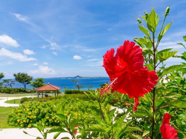 台風は沖縄に上陸しない！？　その真相に「知らなかった」「勉強になる」の声