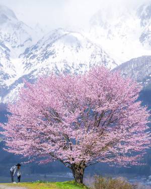 感動する…！　父親が撮った妻と息子の４枚の写真がこちら