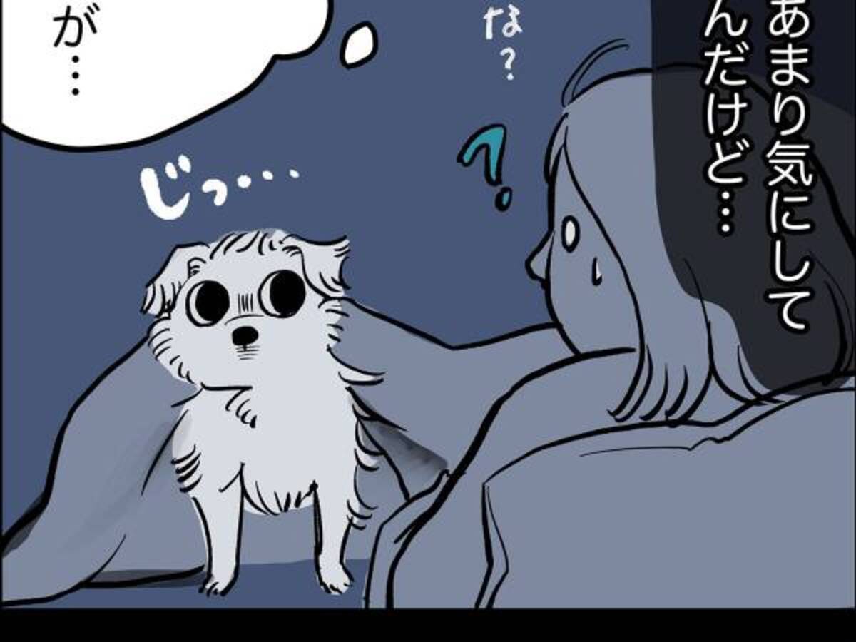 夜 慌てて布団から飛び出す犬 寝ぼけているかと思いきや 2020年9月22日 ウーマンエキサイト 1 2