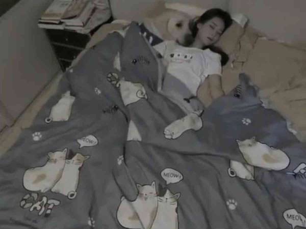 これを見たら犬が飼いたくなりそう　飼い主と一緒にベッドで寝ている愛犬が…