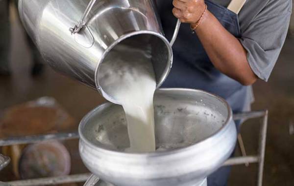 マーガリンとバターの違いは何？　値段や風味で比べると…　カロリーが高いのは意外にも