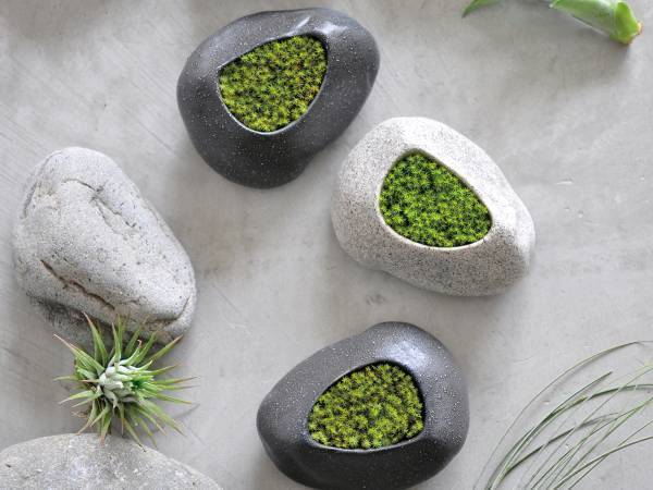 「水やりしなくても平気なの？」本物なのに枯れない不思議なコケ『プリザーブド モス』