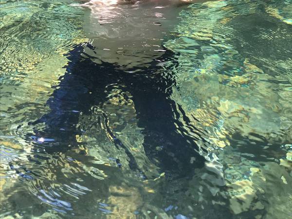 美しい１枚の『裏側』に腹筋崩壊　「カメラマンの本気がこちら」