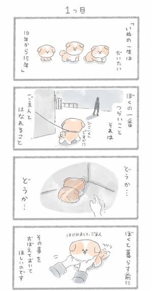 犬から大好きな飼い主へ 涙腺崩壊必須の漫画に反響が上がる 年9月27日 ウーマンエキサイト 1 2