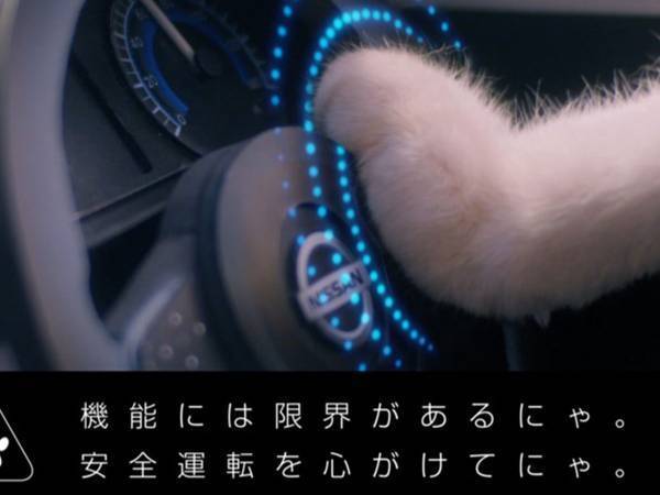 猫好きは企画まで狂わす？　「たまりませんにゃ」「ヤバすぎる」の声が寄せられた動画とは