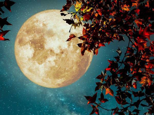２０２０年の『お月見』はこの日に！　貴重な『ブルームーン』も…