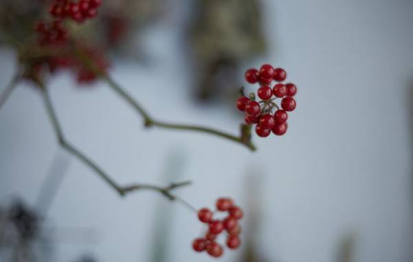 瞬く間に過ぎていく日々の中で、本当に大切なものに気づく感性を磨いていきたい