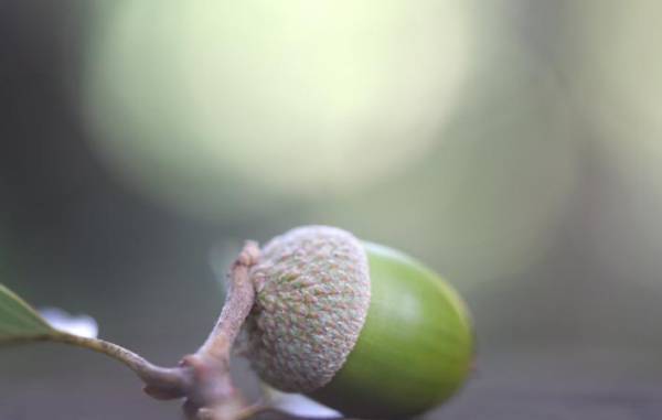 瞬く間に過ぎていく日々の中で、本当に大切なものに気づく感性を磨いていきたい