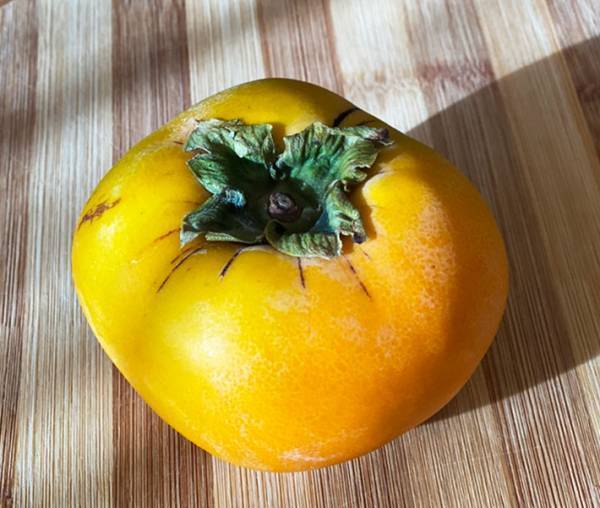 この秋、試してほしい『柿の食べ方』　トースターで焼くだけで…　「絶品」「新感覚のおいしさ」