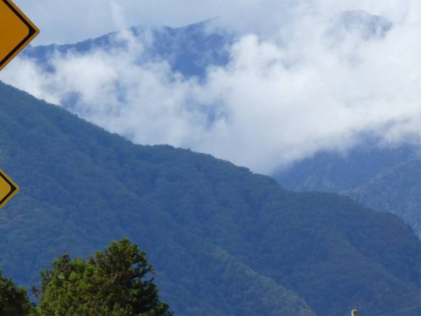 「念願のハトを激写できました」　５万人が『いいね』した写真がコチラ