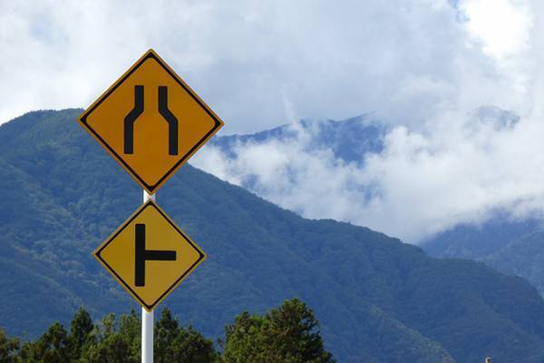 「念願のハトを激写できました」　５万人が『いいね』した写真がコチラ