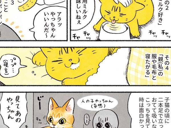 「プァーッ！」　外出する飼い主にみせた猫の姿がまるで…