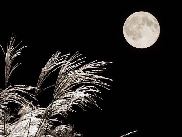 秋の夜空に光々と輝く名月　コロナ禍を忘れて、静かに味わってみる