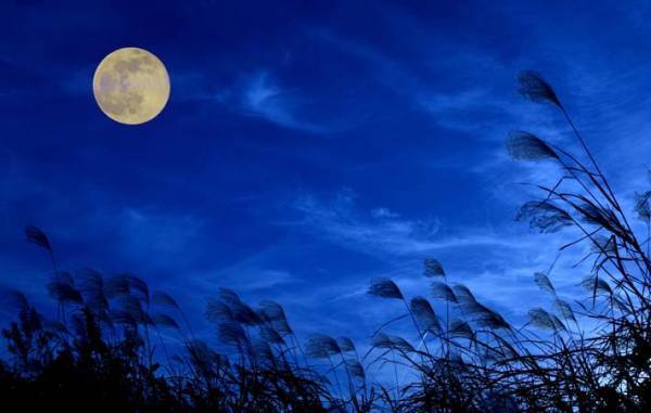 秋の夜空に光々と輝く名月　コロナ禍を忘れて、静かに味わってみる
