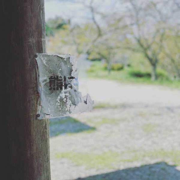 『クマに注意！』の貼り紙を発見　その右側が…