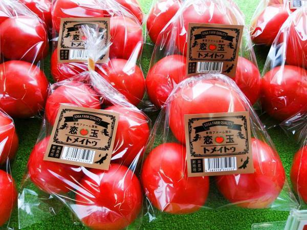 英語の授業で『発音』を笑われた中学生　数年後の展開に、胸が熱くなる