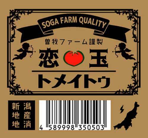 英語の授業で『発音』を笑われた中学生　数年後の展開に、胸が熱くなる