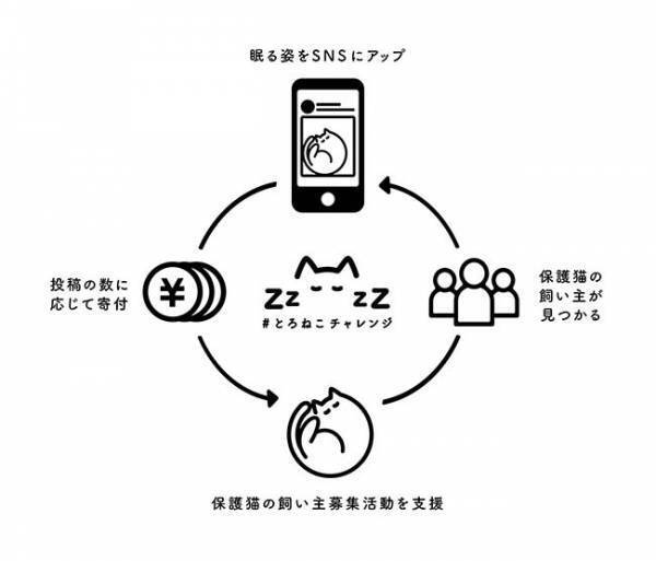 猫の写真を投稿すると…？　企画に愛猫家から「素晴らしい！」と絶賛の声