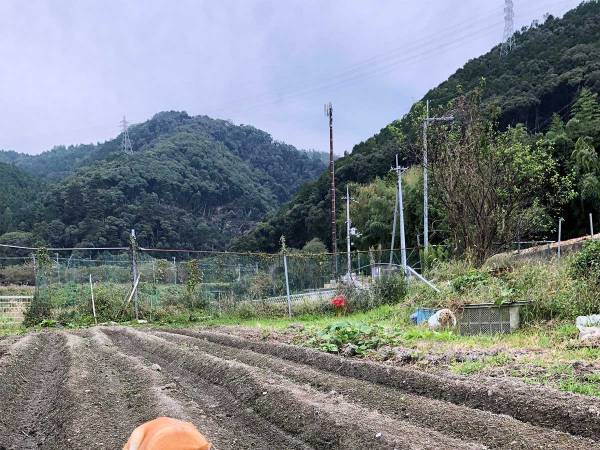 飼い主が畑を見に行くと？　柴犬の姿に１０万人が吹き出す