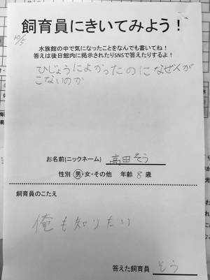 ８歳の男の子から辛らつな疑問が寄せられた水族館　館長の答えは…？