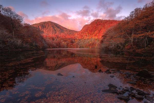 青森で撮影された『紅葉写真』　圧倒的な美しさに心奪われる