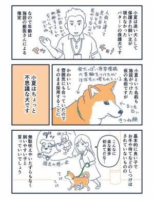 夫が帰宅したとたん、突然震え出した柴犬　その理由に「笑った」「うちの子もやる」