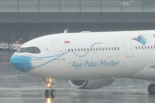 「かわいい」「遊び心がある」　羽田空港でひときわ注目を集めた飛行機がこちら