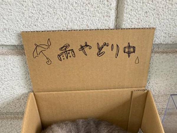 駅に設置されている『箱』　中を覗いてみると…？