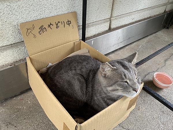 駅に設置されている『箱』　中を覗いてみると…？