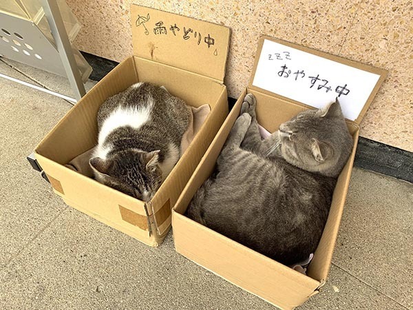 駅に設置されている『箱』　中を覗いてみると…？