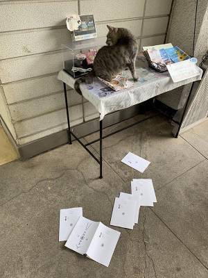 駅に設置されている『箱』　中を覗いてみると…？