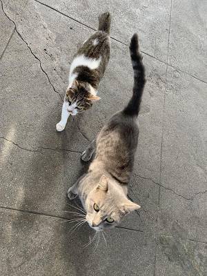 駅に設置されている『箱』　中を覗いてみると…？