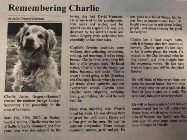 「彼の一生は幸せでした」　天国にいる愛犬の『追悼記事』が涙なしでは読めない